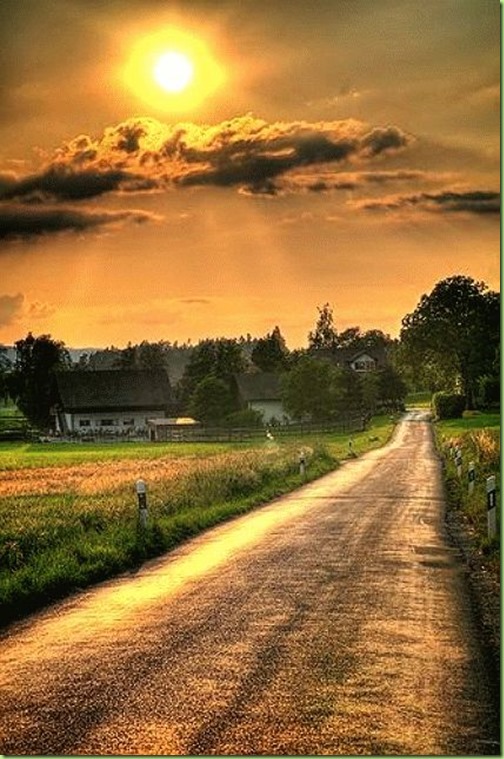 farm road at sunset art