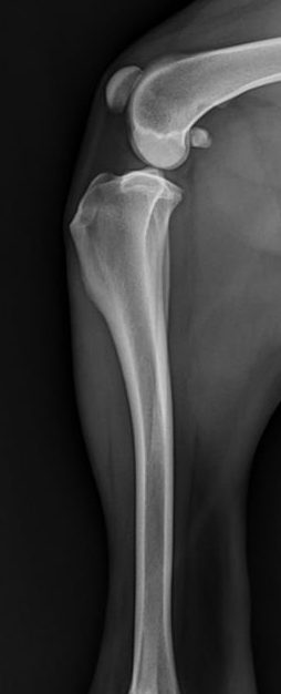 Question 49 image