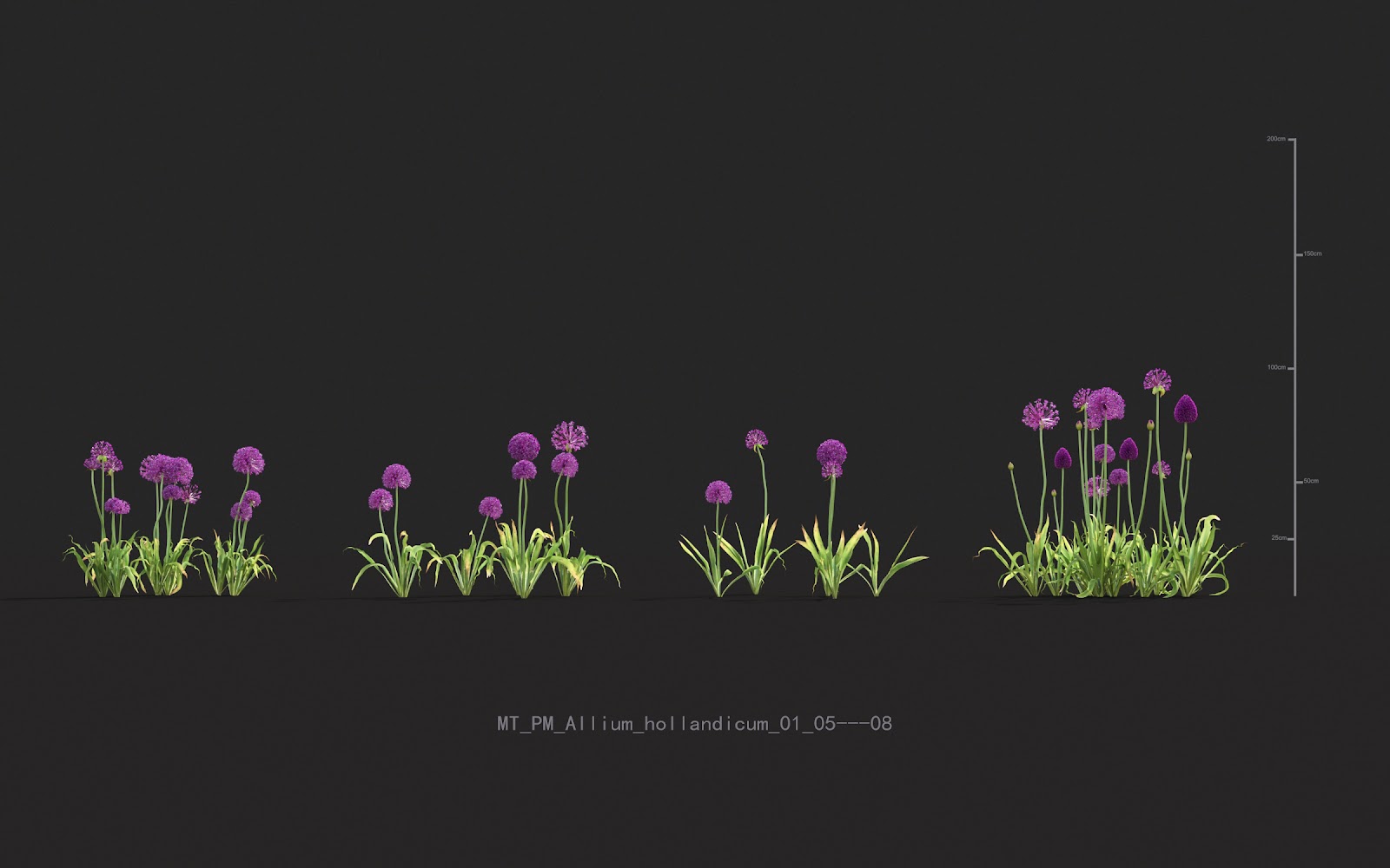 Maxtree - Plant Models Vol.20