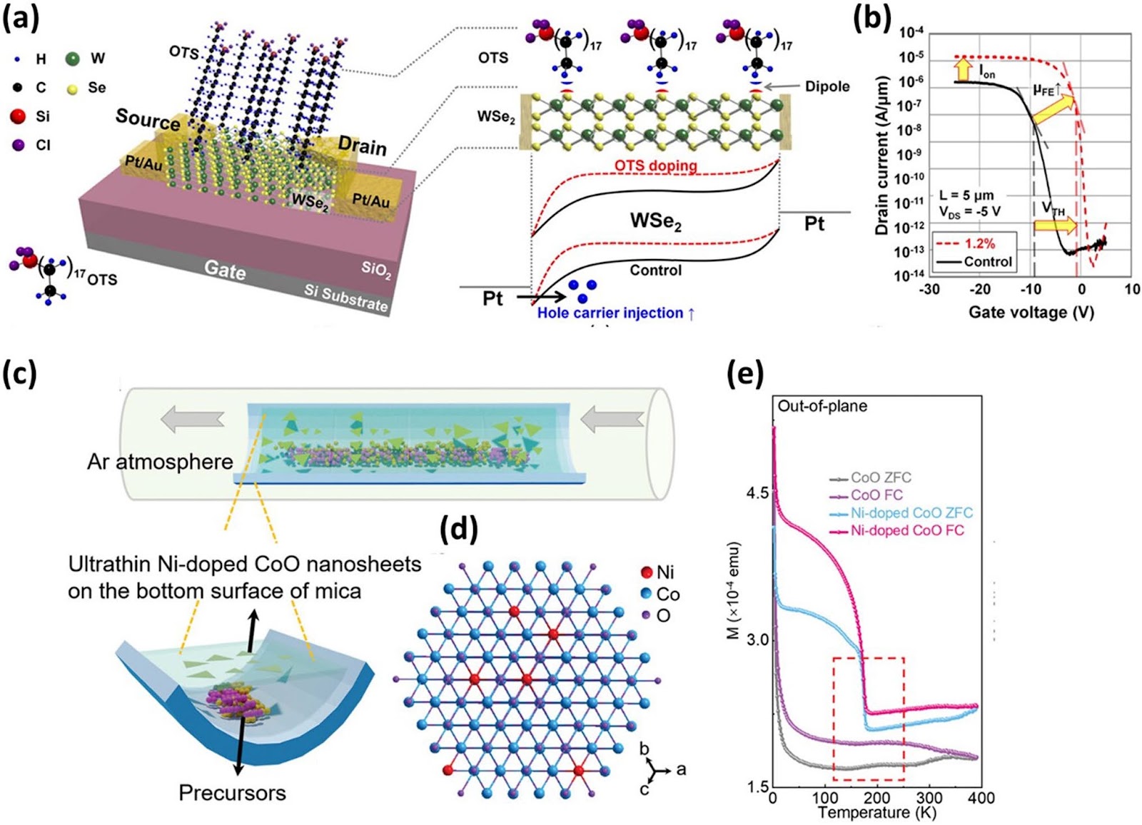 Physics of 2D Materials for Developing Smart Devices