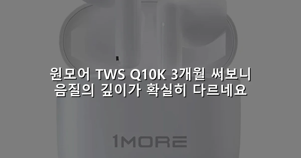 원모어 TWS Q10K 3개월 써보니 음질의 깊이가 확실히 다르네요