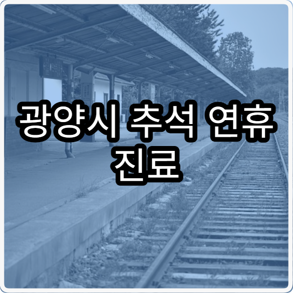 광양시 추석 연휴 진료 병원 찾는 방법과 운영시간 안내