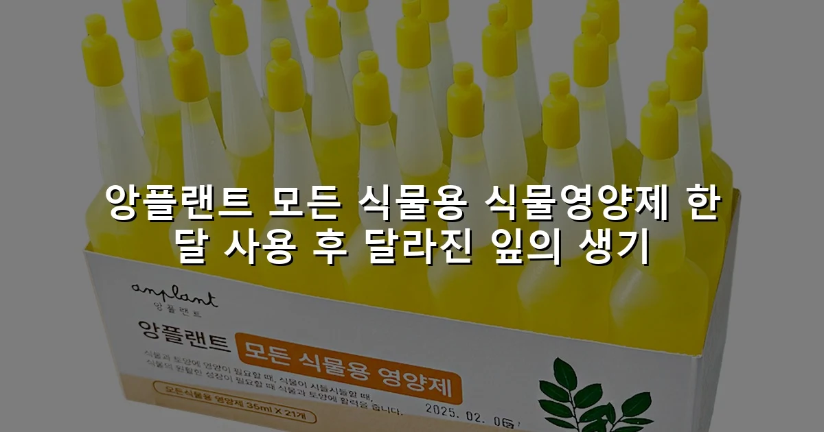 앙플랜트 모든 식물용 식물영양제 한 달 사용 후 달라진 잎의 생기