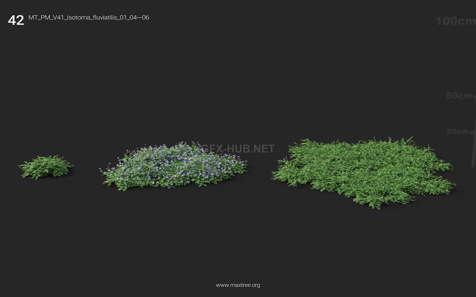 Maxtree - Plant Models Vol.41