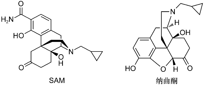 Pharmacological Characterization of the Novel Synthetic Cannabinoid Receptor Agonist 5F-EDMB-PICA and Its Effects on Body Weight in Rats