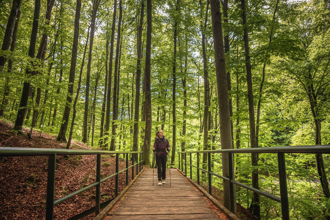 Croatia Medvednica Mountains Hiking