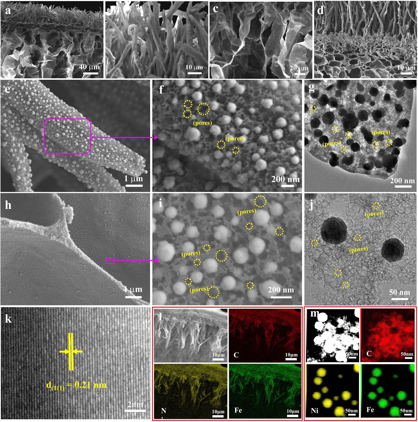 Chemical Fermentation Pore Creation on Multilevel Bio-Carbon Structure with In Situ Ni-Fe Alloy Loading for Superior Oxygen Evolution Reaction Electrocatalysis