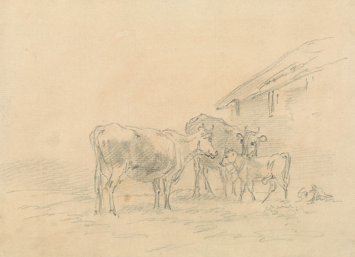 Two Cows and a Calf