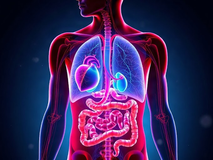 How Your Body's 11 Systems Keep You Alive: A Complete Breakdown for Competitive Exams
