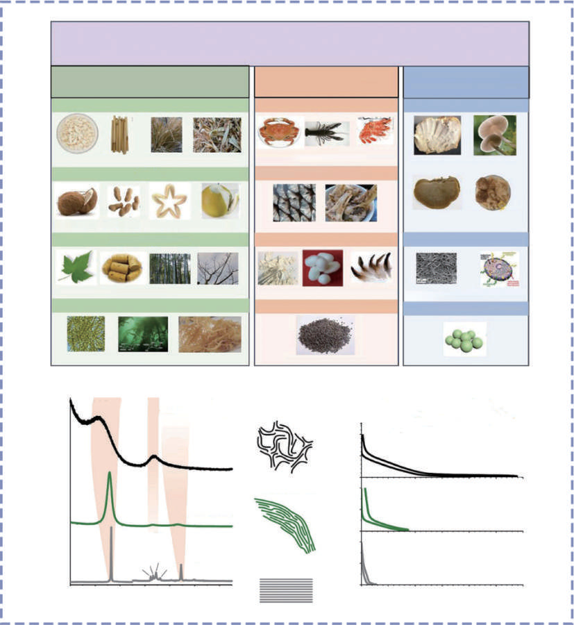 Advances in the use of biomass-derived carbons for sodium-ion batteries