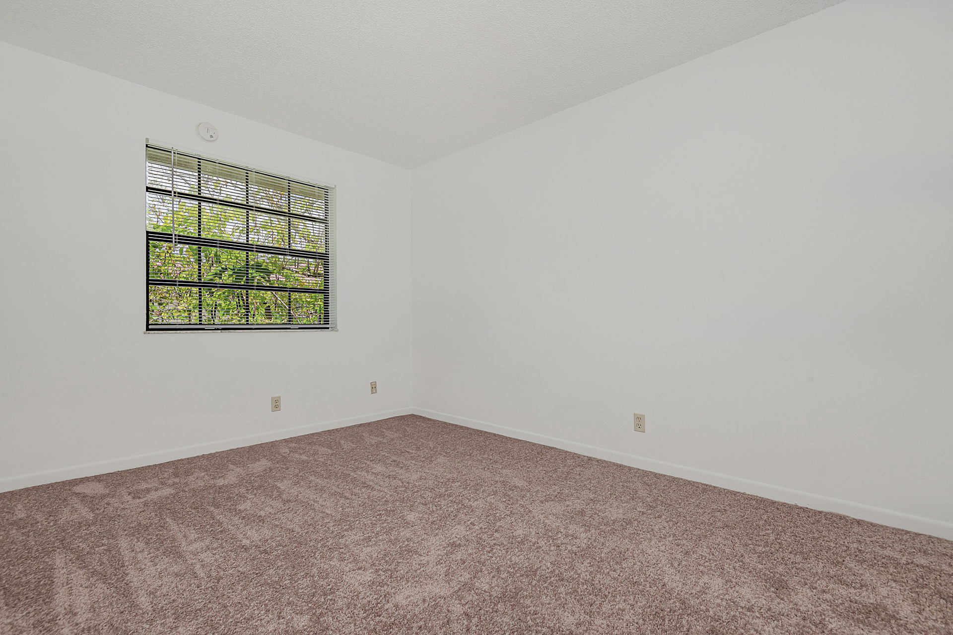 7 Large Units On Nearly A 1/2 Acre property photo 38