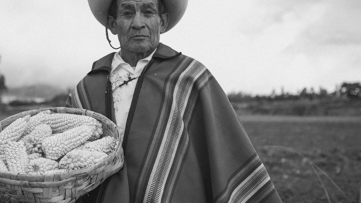 종교 의식의 인류학적 기원과 부족 사회에서의 역할