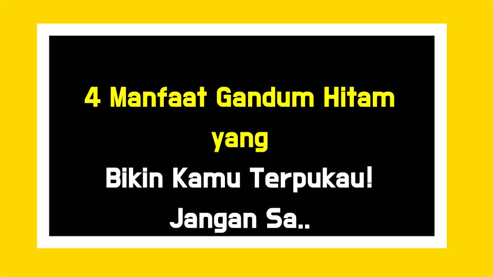 4 Manfaat Gandum Hitam yang Bikin Kamu Terpukau! Jangan Sampai Kelewatan!