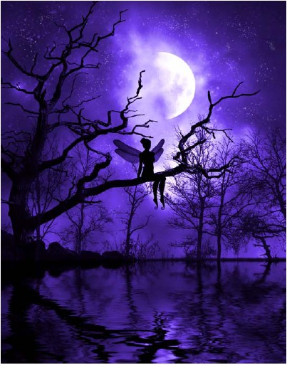 HAE JY006 Celestial Night