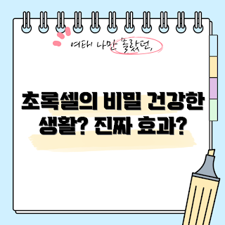 초록셀 효능, 초록셀 후기, 초록셀 초보자, 건강식품 선택, 자연식품 전문가