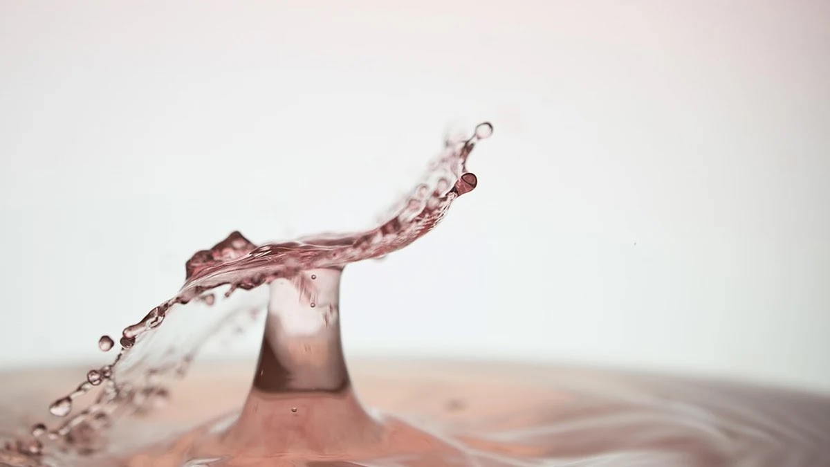 부력의 원리와 다양한 실생활 쉽게 이해하기