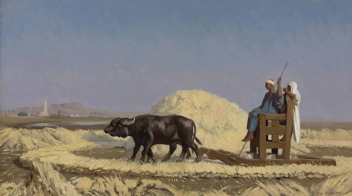 Egyptian Grain Cutters