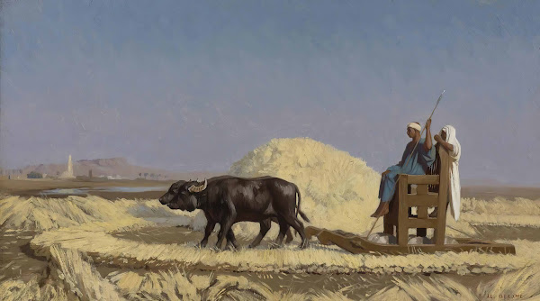 Egyptian Grain Cutters