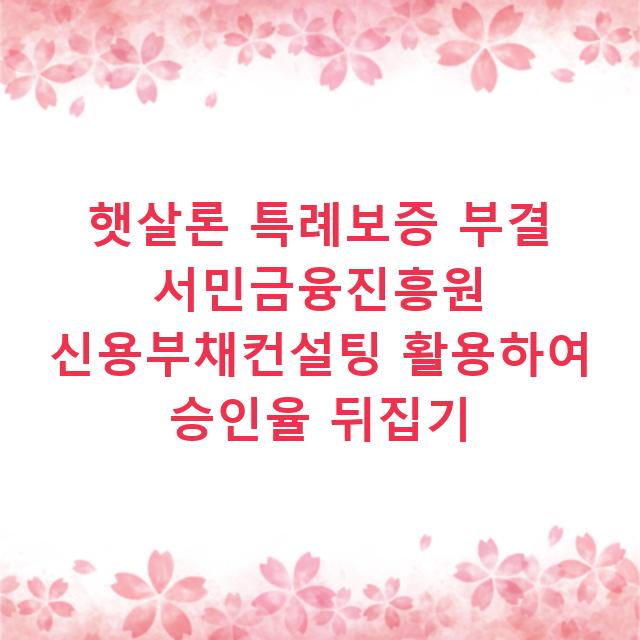 햇살론 특례보증 부결 서민금융진흥원 신용부채컨설팅 활용하여 승인율 뒤집기