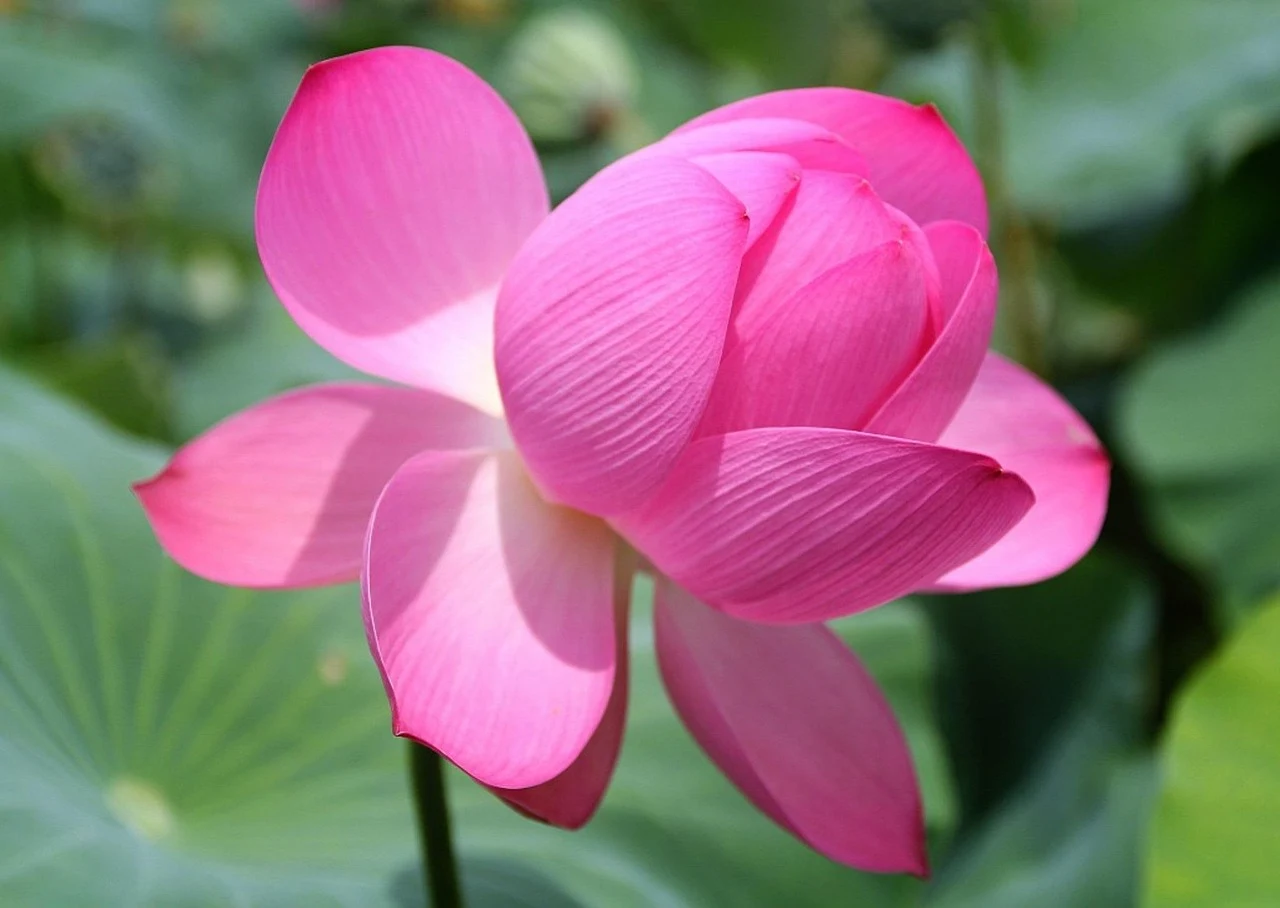 섹션 3 이미지