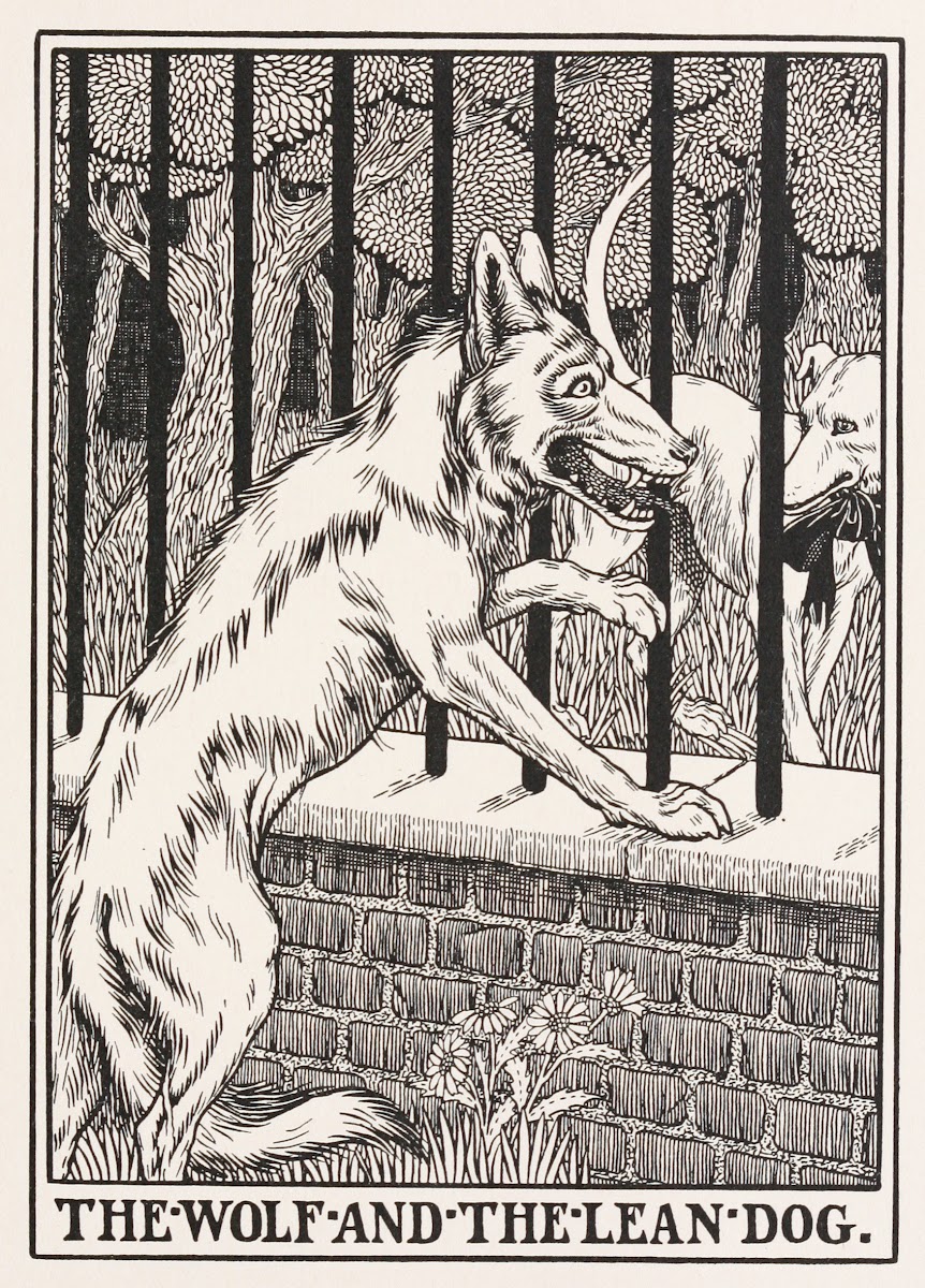 The Wolf and the Lean Dog 1900