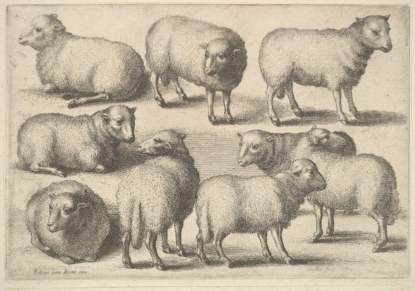 Nine sheep 1647