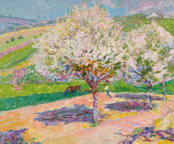 Arbres En Fleur Dans La Prairie