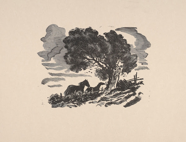 Wiatr ilustracja do książki Song of the Little Indian Mais 1935