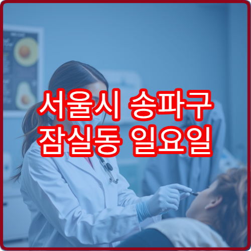 서울시 송파구 잠실동 일요일 소아과 진료 병원 휴일 운영