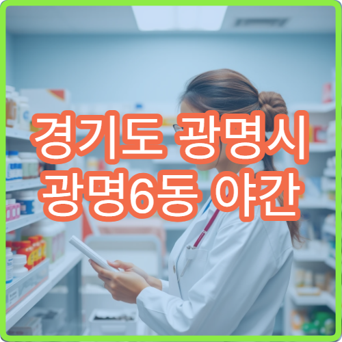 경기도 광명시 광명6동 야간 응급 상황 시 찾는 심야 약국 정보