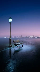 Tranquil Urban Night Scene with Streetlamp and Bench