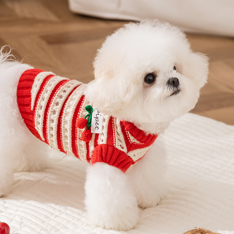 Knitted sweater for dogs with cherry pattern