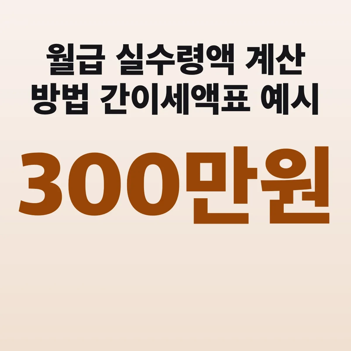 월급 실수령액 계산 방법 간이세액표 300만원 예시