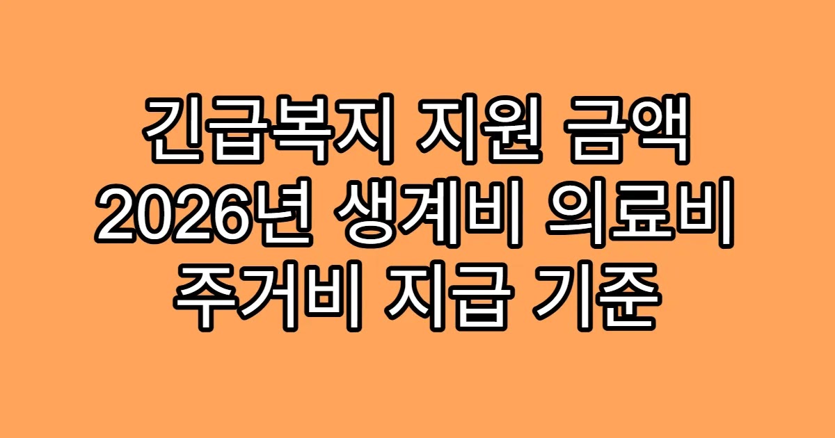 긴급복지 지원 금액 2026년 생계비 의료비 주거비 지급 기준