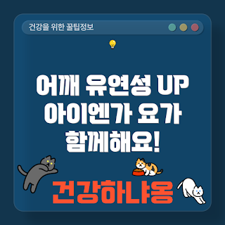 어깨 유연성, 아이엔가 요가, 겨울 요가, 스트레칭 자세, 홈트레이닝