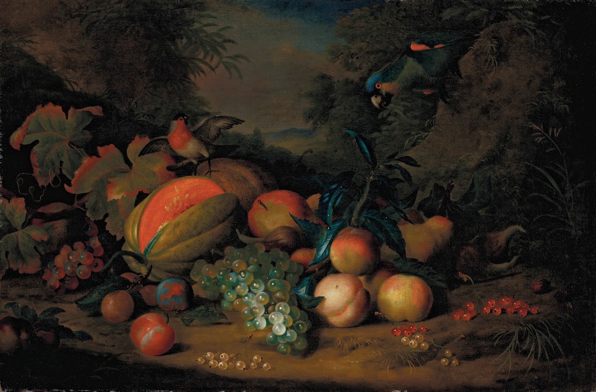 A split melon peaches plums grapes apples and currants with a parrot and a bullf