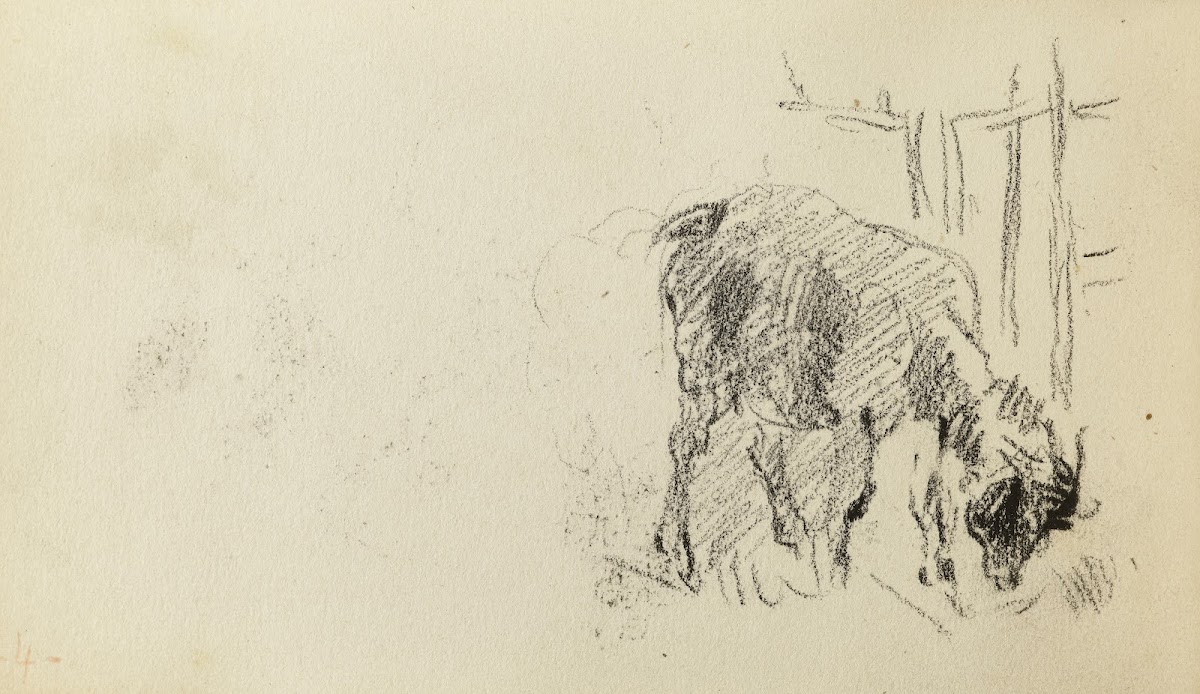 Etude dune chèvre 1874