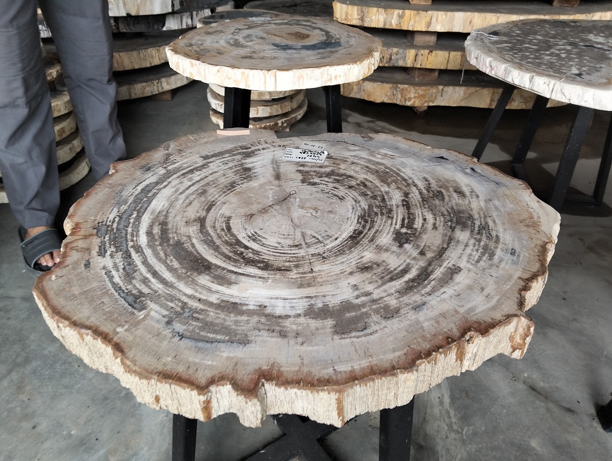ROUND COFFEE TABLE — SKU CFTP.1320.21 | Petrified Wood by PJ Antique Bali