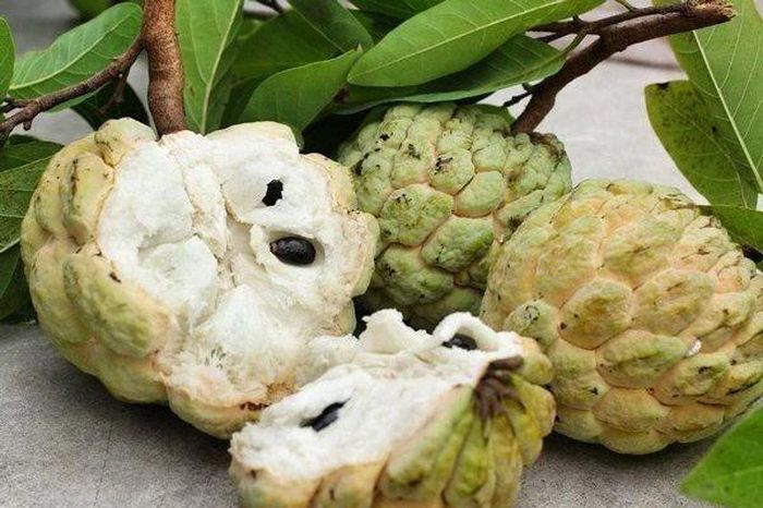 Điều kỳ thú của loại quả đến từ châu Mỹ khiến triệu người Việt phát cuồng - Báo Tri thức &amp; Cuộc sống