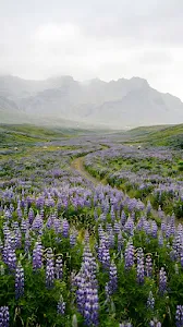 Abstract Teal and Gold Fluid Marble Texture