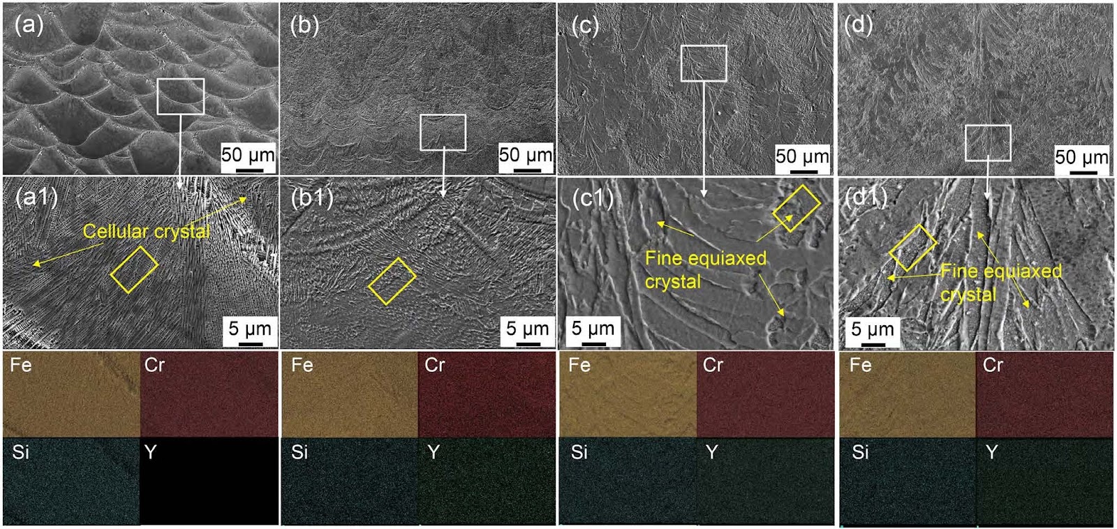 Microstructure and tribological properties of Y2O3-doped Fe-based alloy coatings by laser cladding
