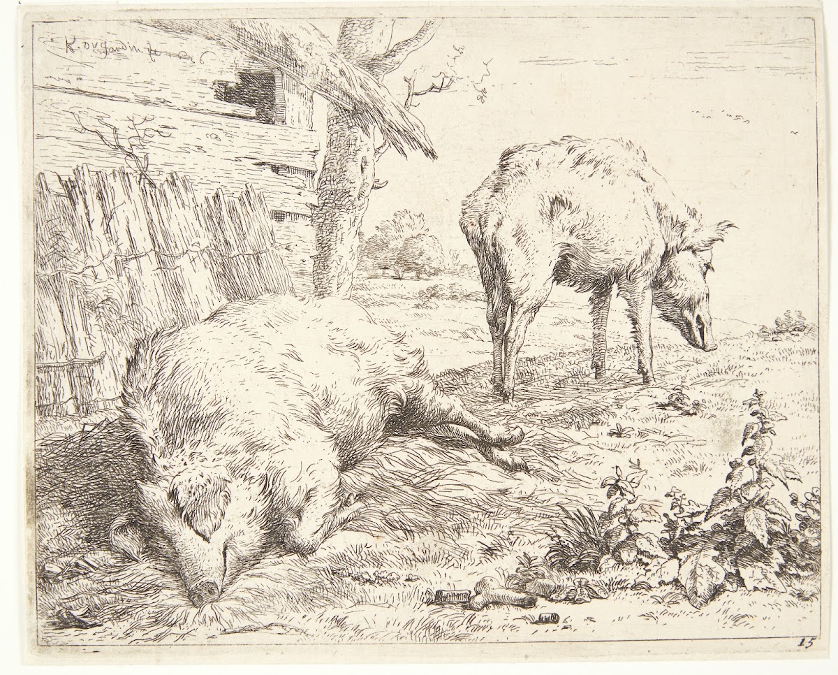 To svin i en svinesti 1656
