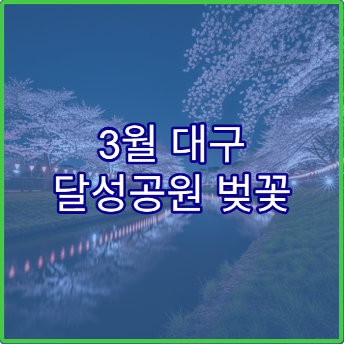 3월 대구 달성공원 벚꽃 새벽 산책 명소와 조용한 포토존 위치