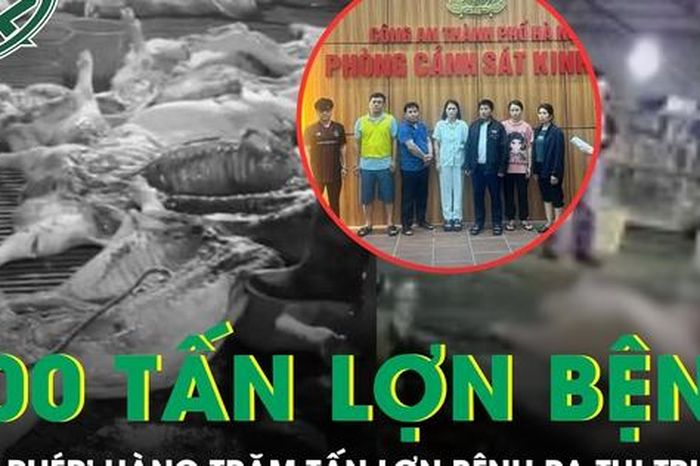 Hà Nội: Phá đường dây 'phù phép' 300 tấn lợn bệnh vào trường học, chợ dân sinh - Báo Sức Khỏe &amp; Đời Sống