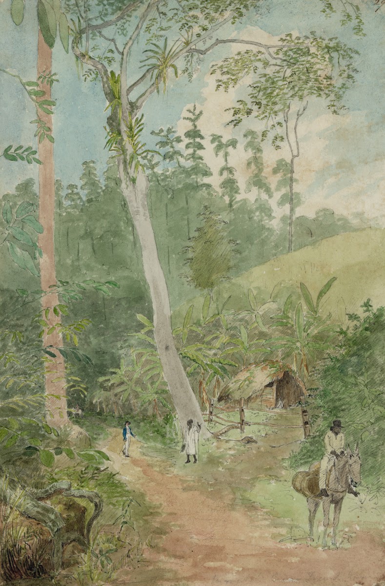 Plantain Walk  Bookkeeper  Watchman and Hut  man with casks of water 1808 1816