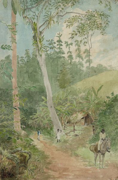 Plantain Walk  Bookkeeper  Watchman and Hut  man with casks of water 1808 1816