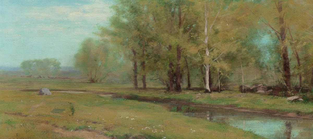 Quiet Stream at a Forests Edge