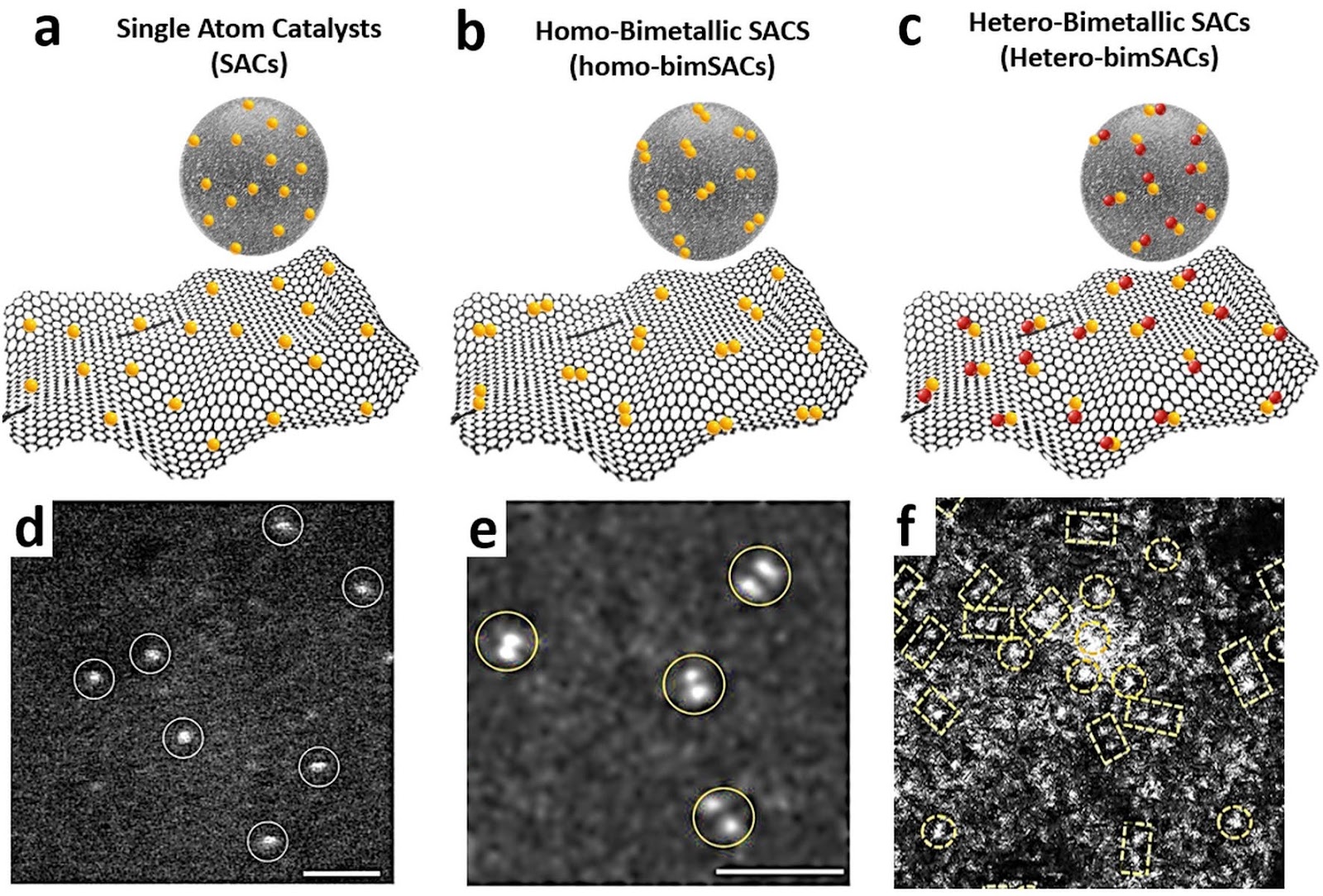 Bimetallic Single-Atom Catalysts for Water Splitting
