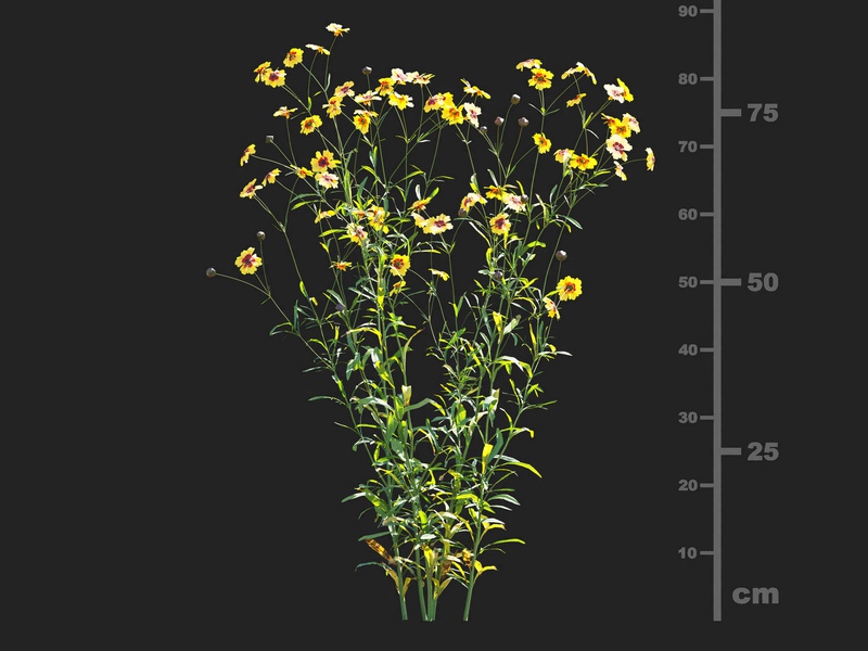 Maxtree - Plant Models Vol.112