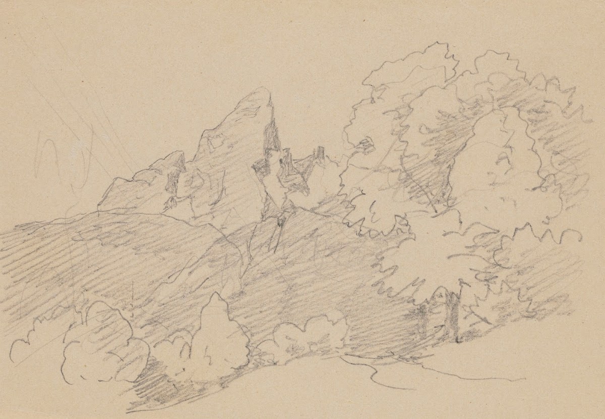 Rocks among Trees 1890   1900